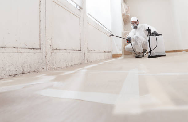 24/7 Emergency Attic Mold Remediation experts in Derwood, MD